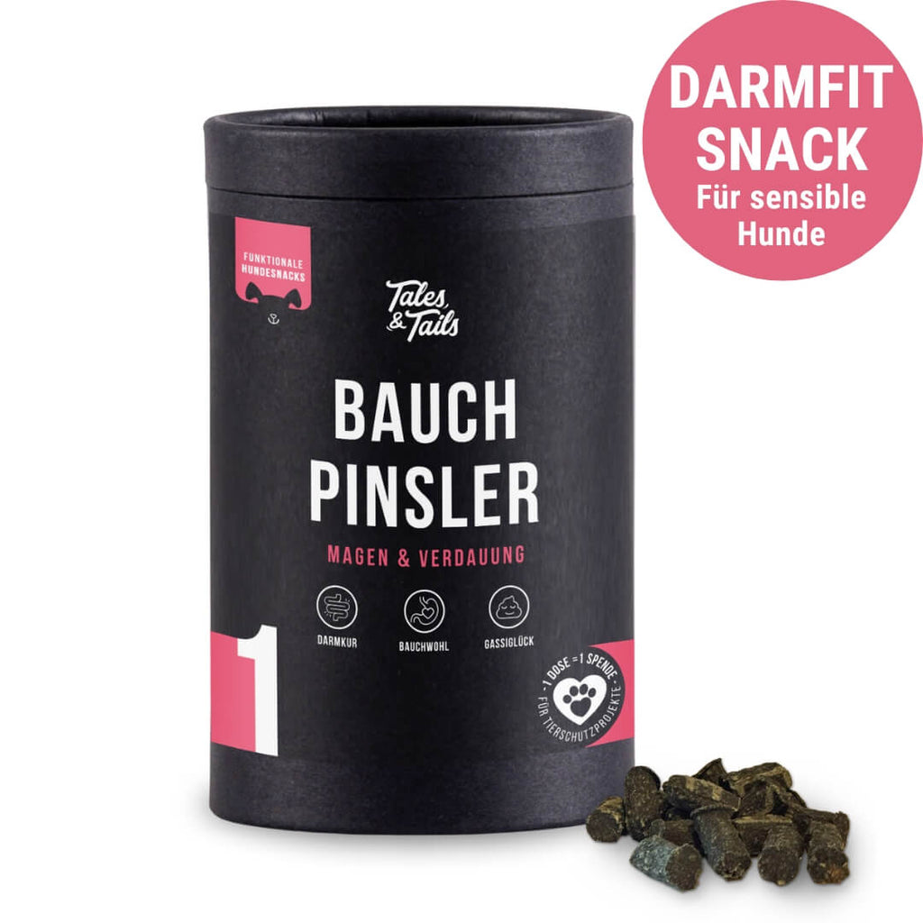 Bauchpinsler