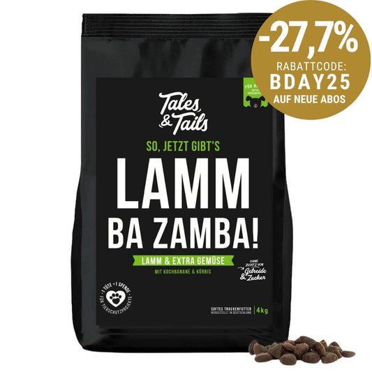 LammBa Zamba!