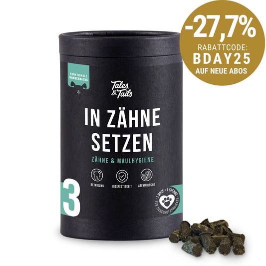 In Zähne setzen