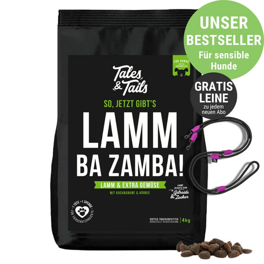 LammBa Zamba!