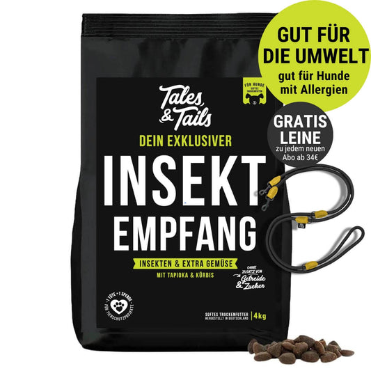 InSektempfang