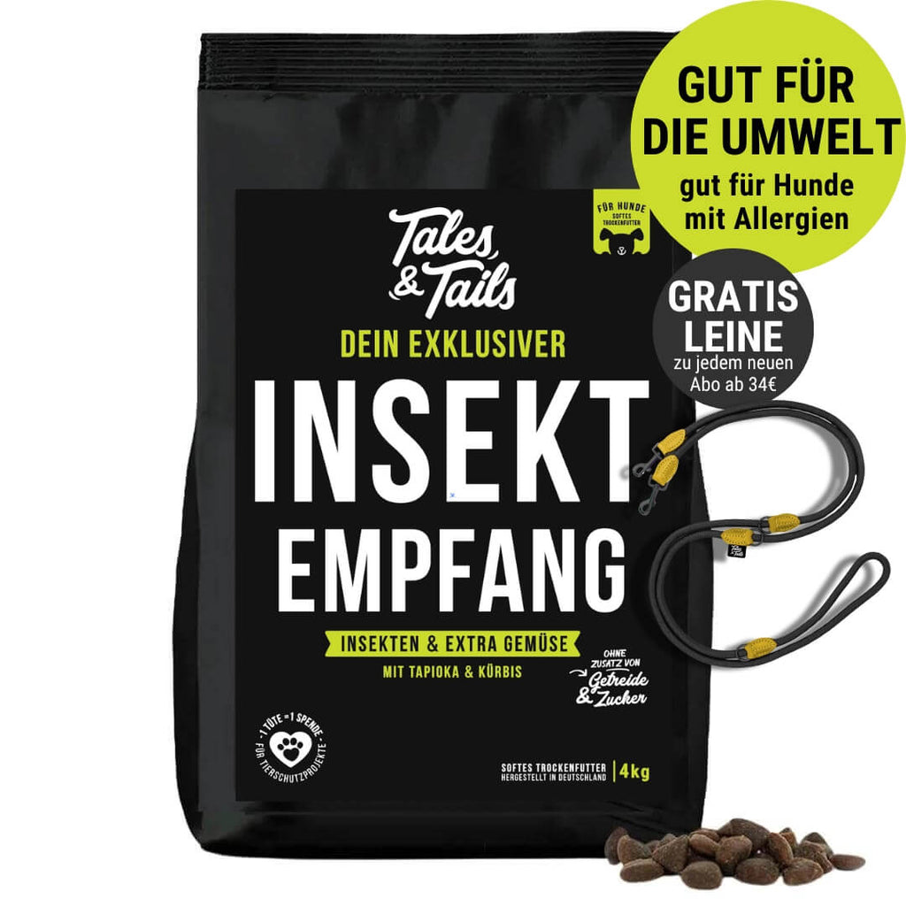 InSektempfang
