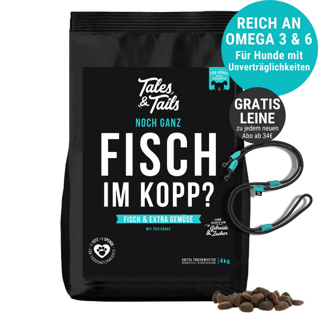 Noch ganz Fisch im Kopp?