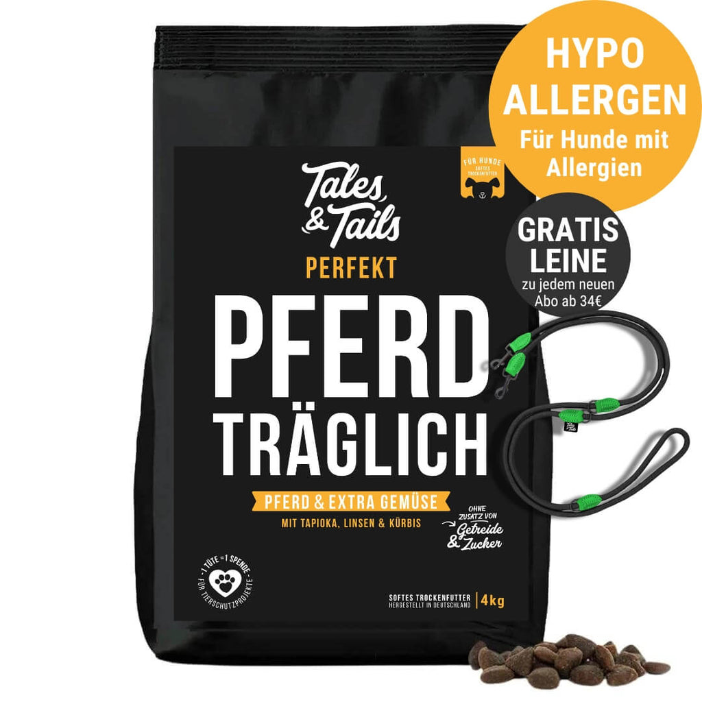 Perfekt PferdTräglich