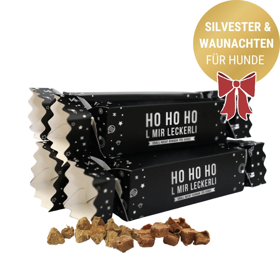 Weihnachtskarte Für Enkelin & Freund – Mit Hunden Auf Schaukel, Silberfolie & Glitzer, 228x152 Mm, Aus Großbritannien