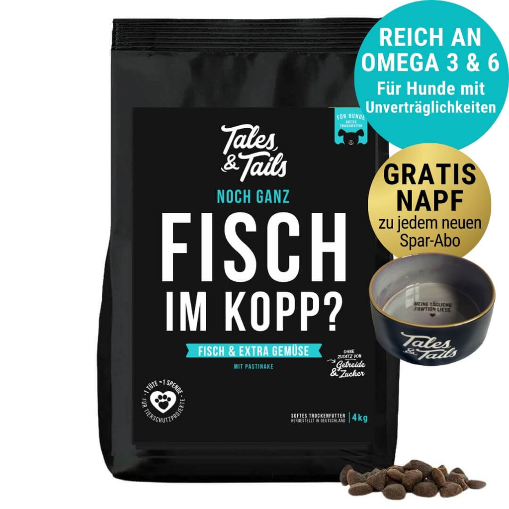 Noch ganz Fisch im Kopp?
