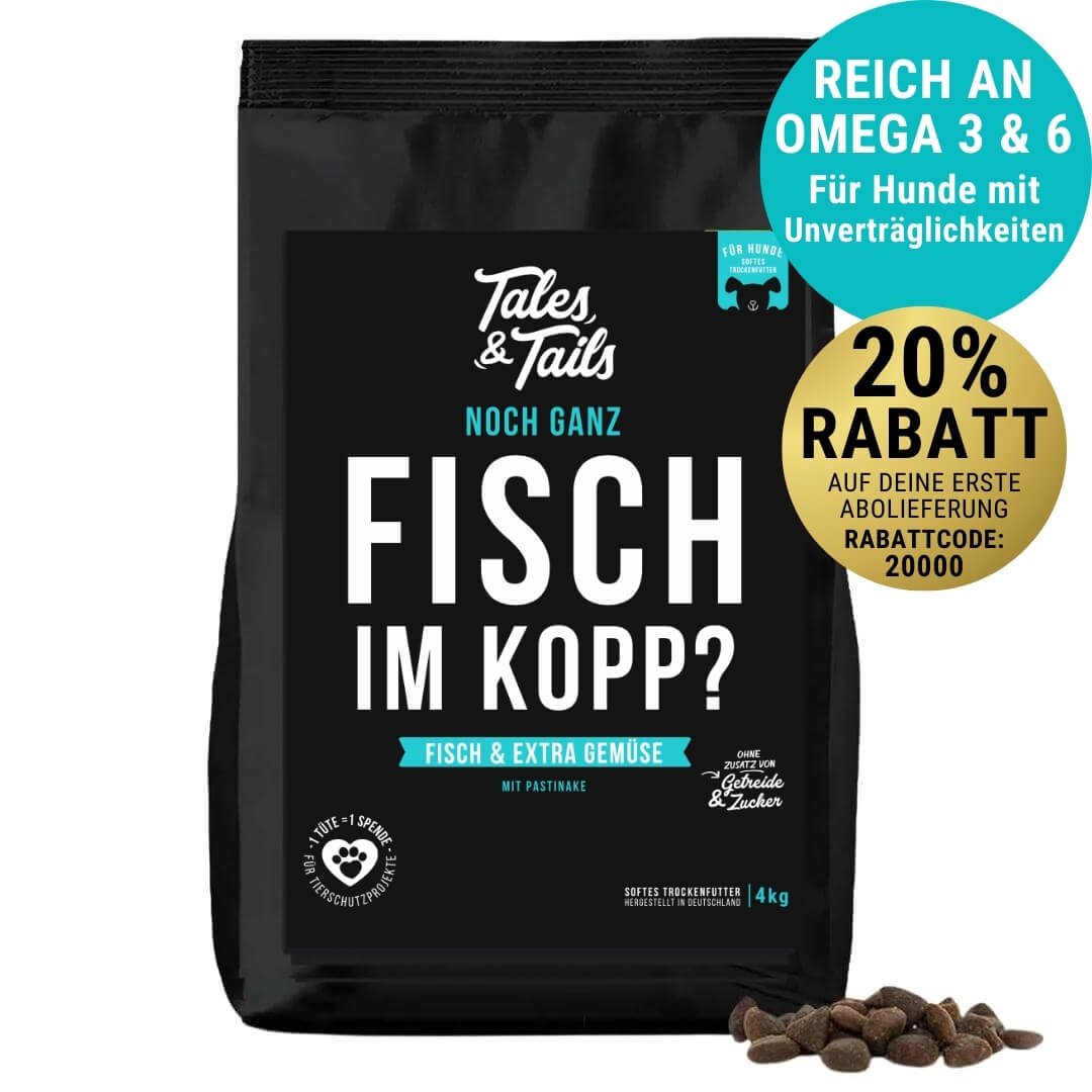 Noch ganz Fisch im Kopp?