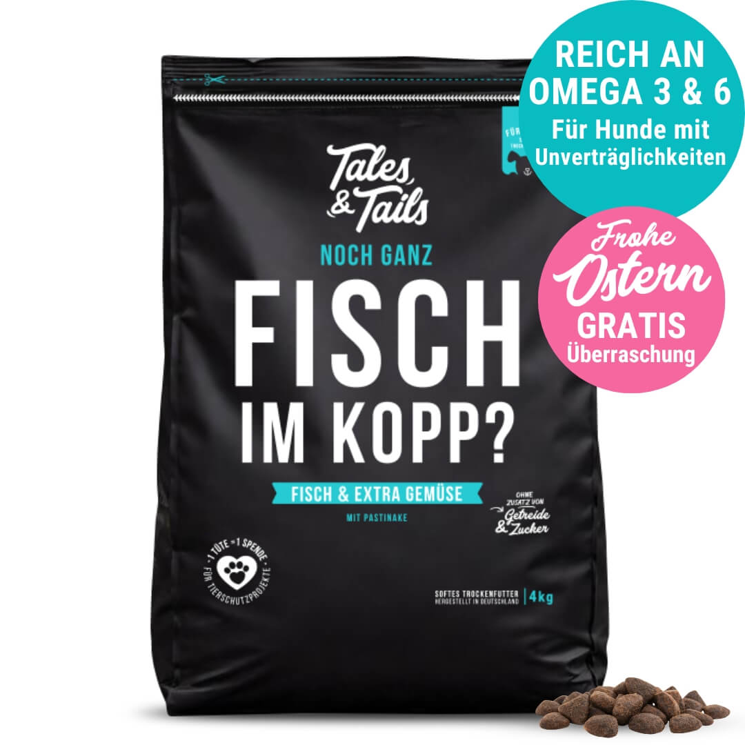 Noch ganz Fisch im Kopp?