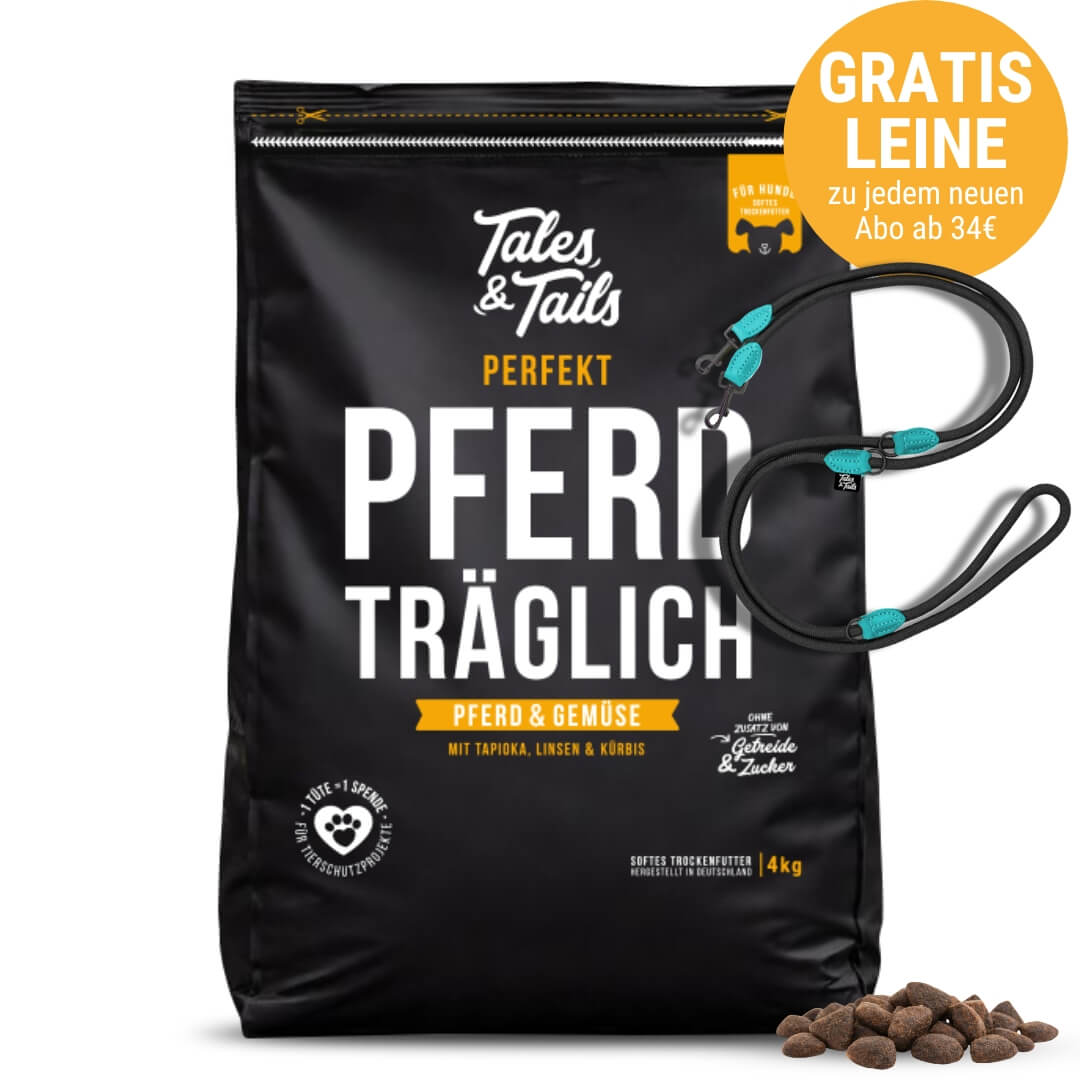 Perfekt PferdTräglich
