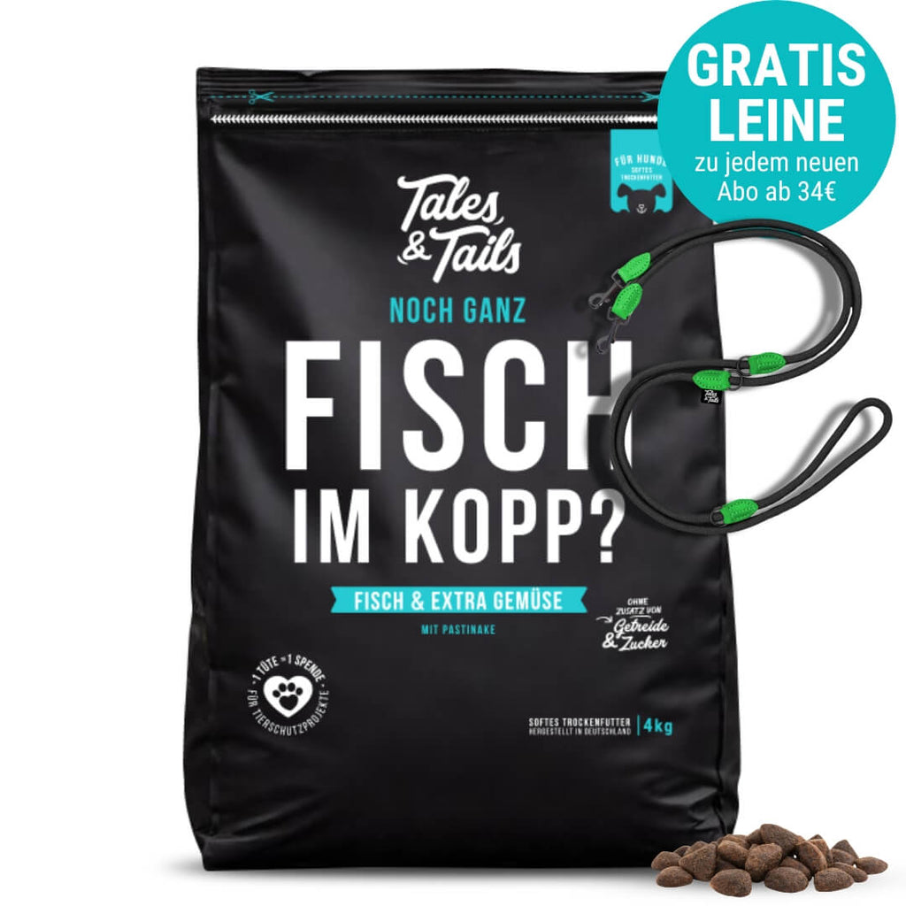 Noch ganz Fisch im Kopp?