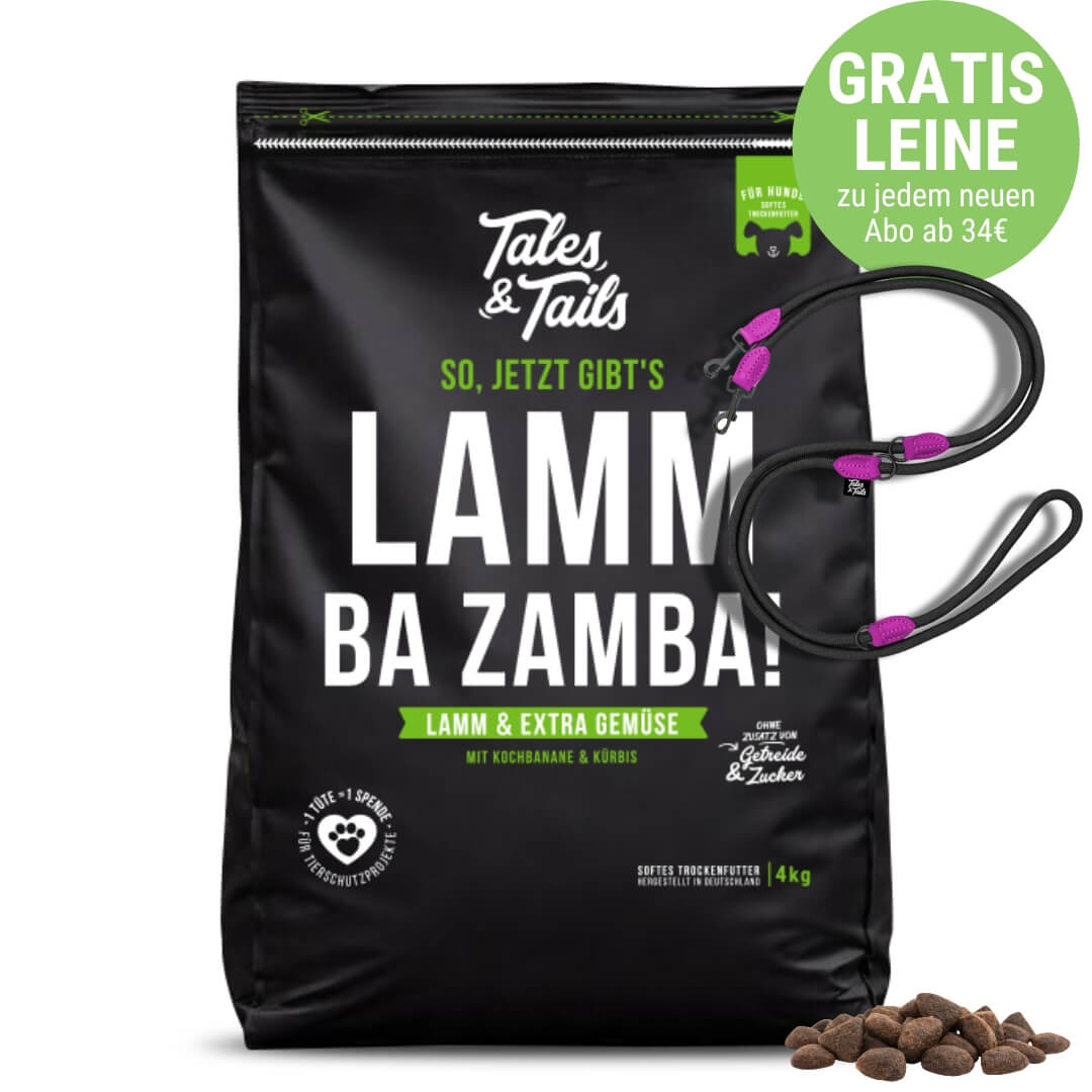LammBa Zamba!