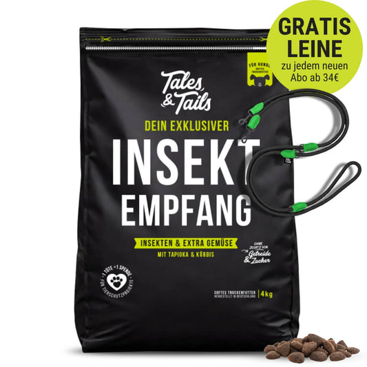 InSektempfang