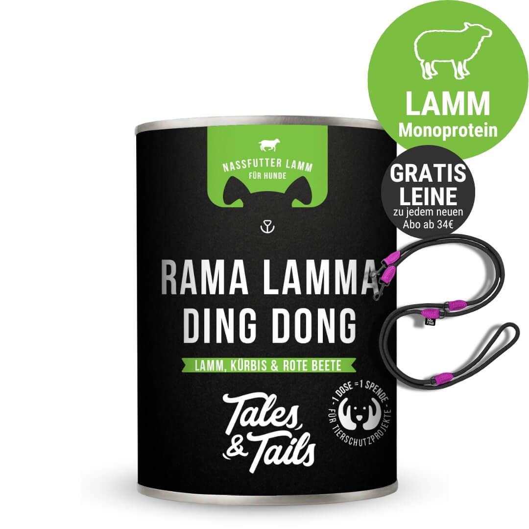 Rama Lamma Ding Dong