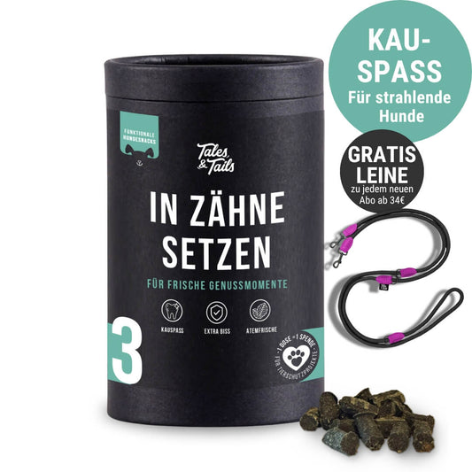 In Zähne setzen