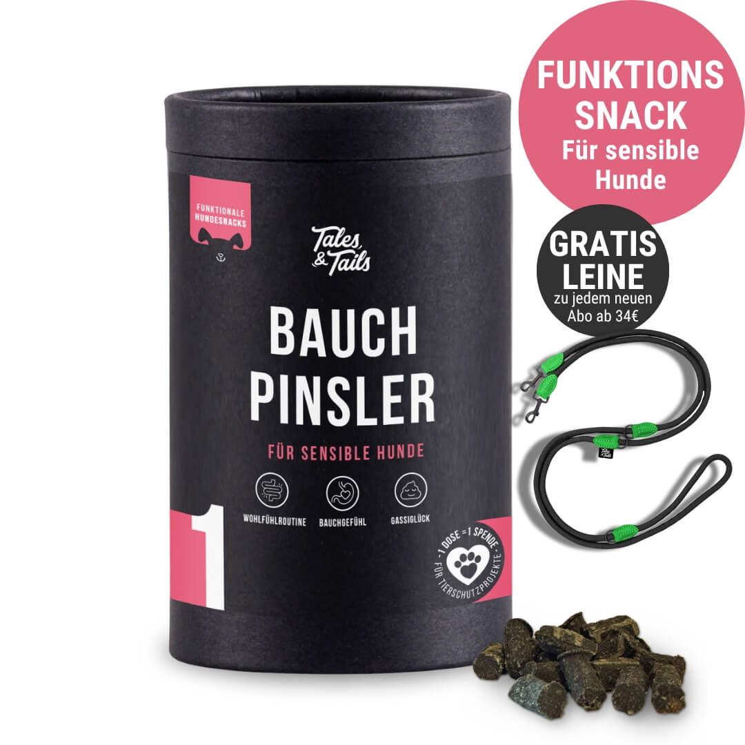 Bauchpinsler
