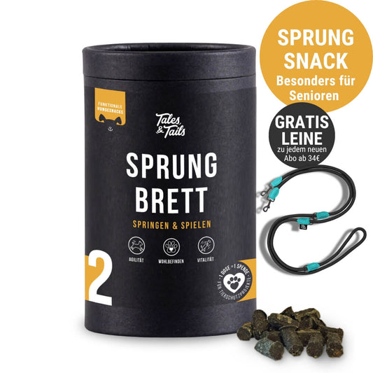 Sprungbrett