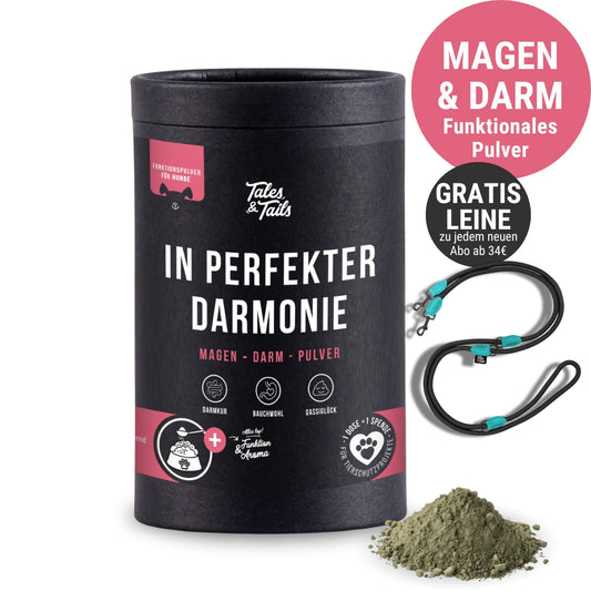 In perfekter Darmonie