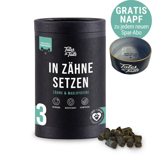 In Zähne setzen