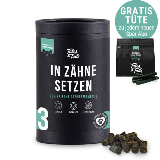 In Zähne setzen