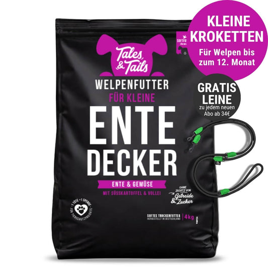Für kleine EnteDecker