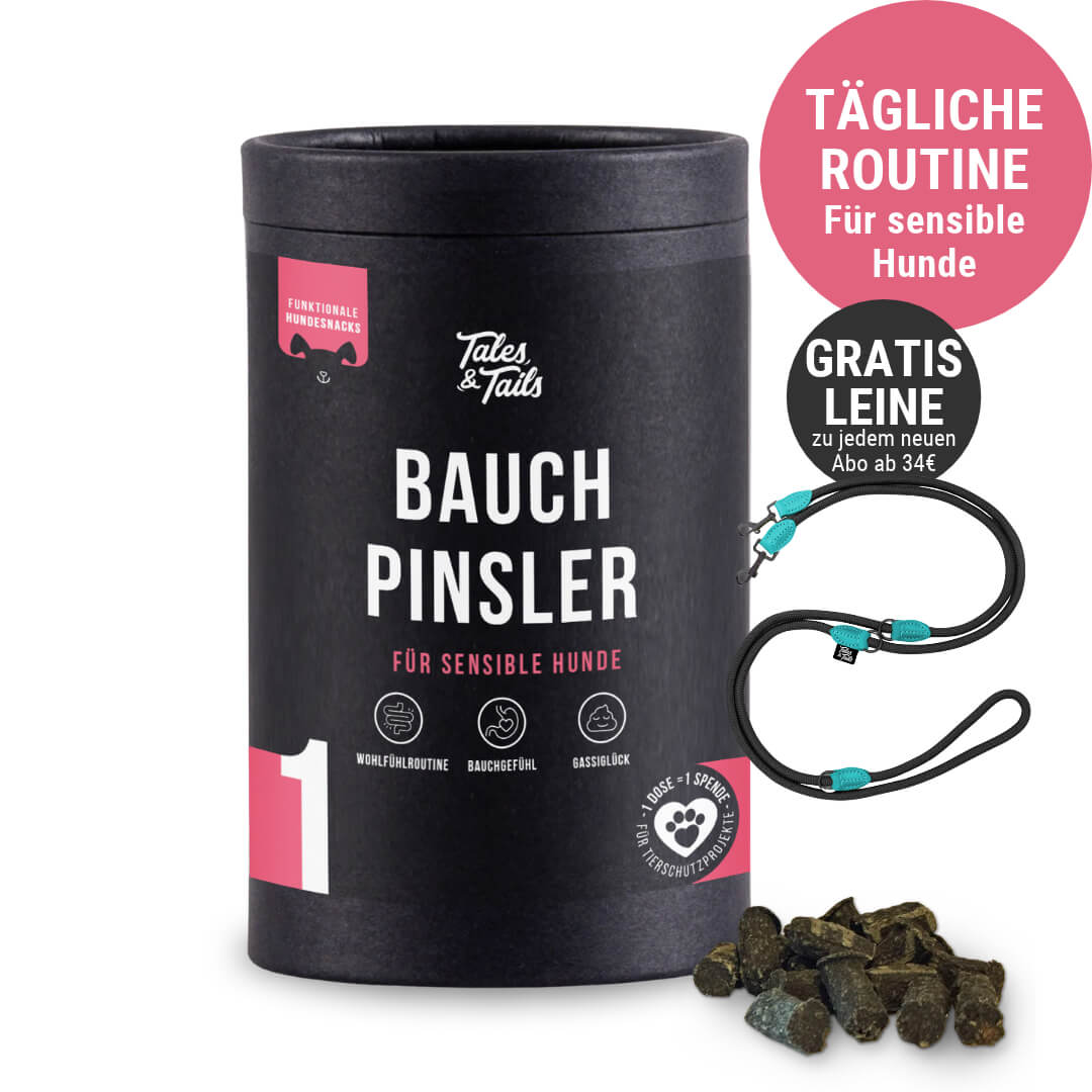 Bauchpinsler