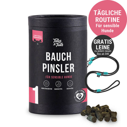 Bauchpinsler