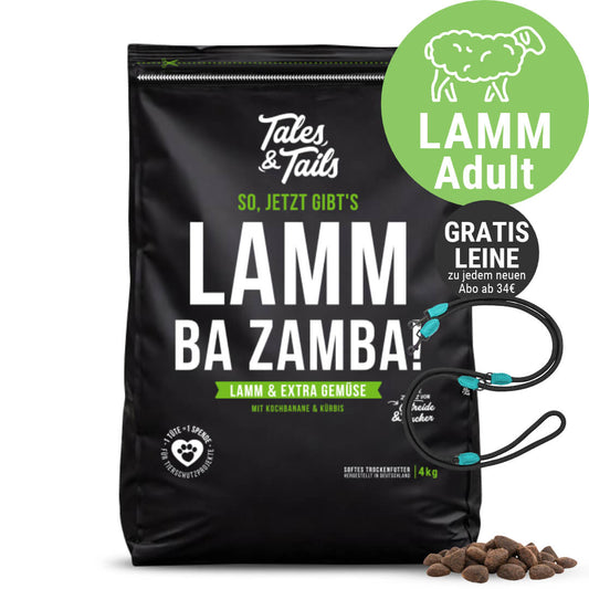 LammBa Zamba!