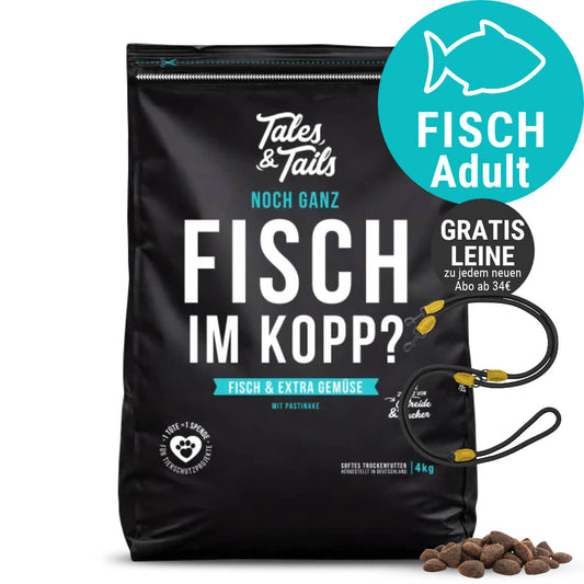 Noch ganz Fisch im Kopp?