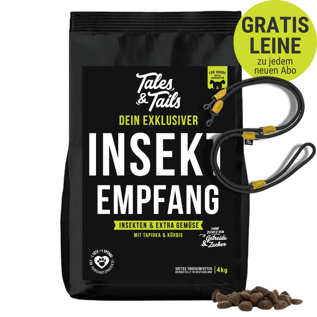 InSektempfang