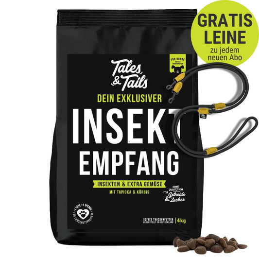 InSektempfang