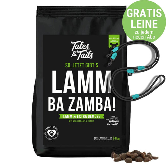 LammBa Zamba!