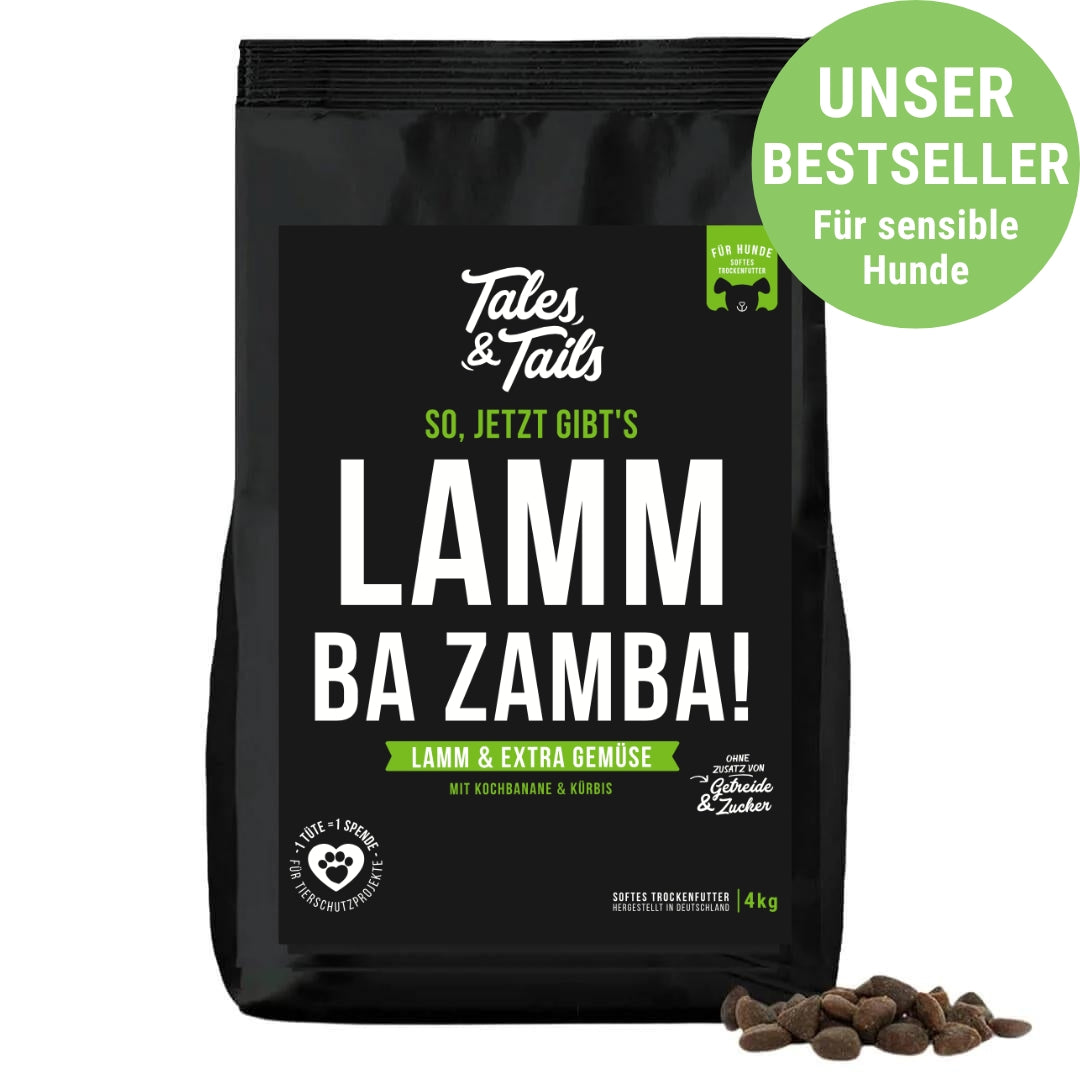 LammBa Zamba!