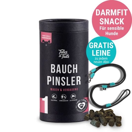 Bauchpinsler