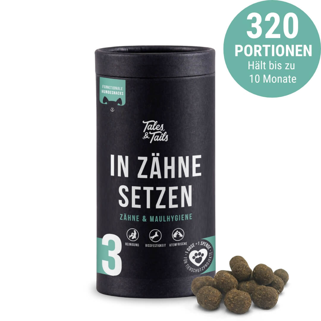 In Zähne setzen