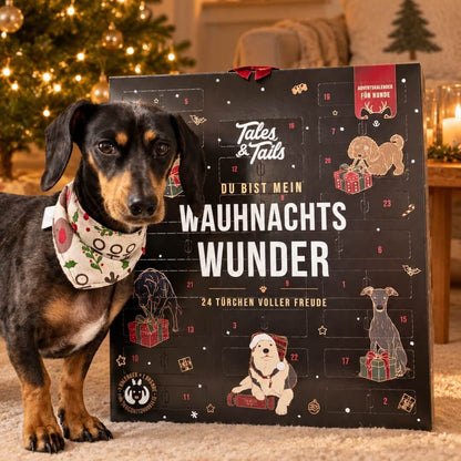 Wauhnachts-Wunder - Adventskalender
