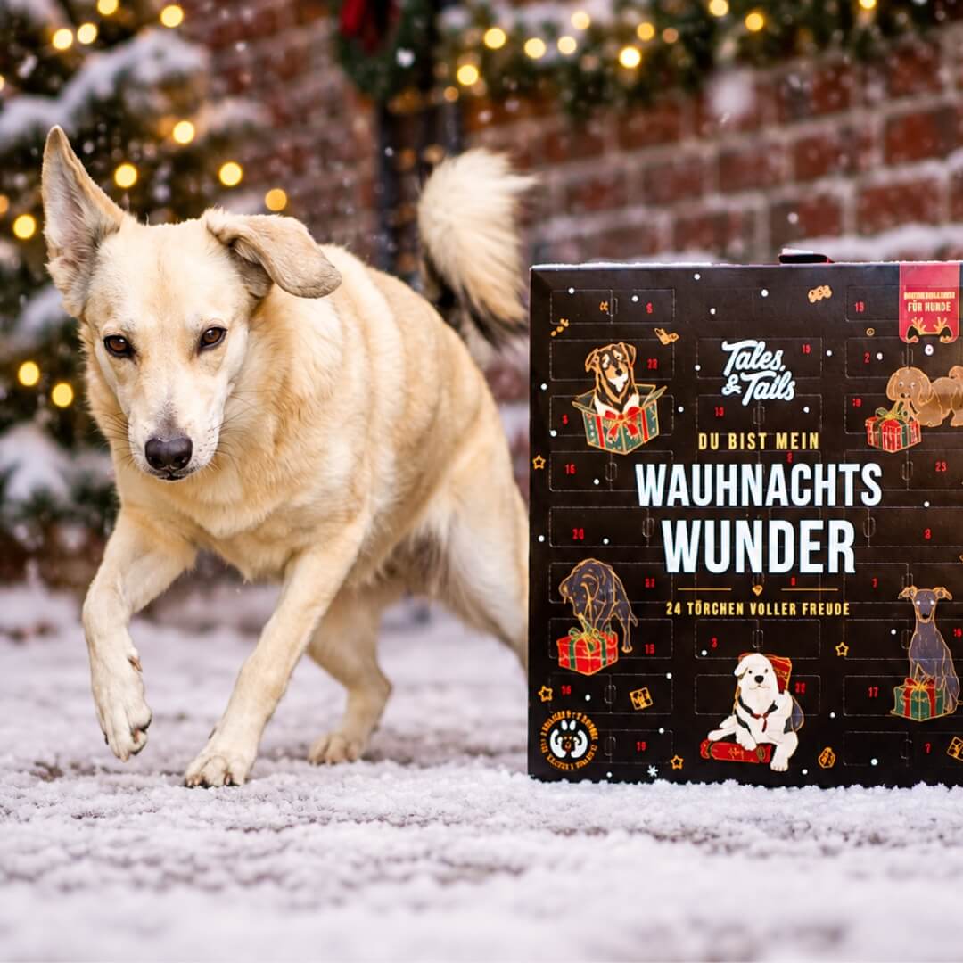 Wauhnachts-Wunder - Adventskalender