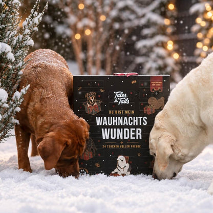 Wauhnachts-Wunder - Adventskalender