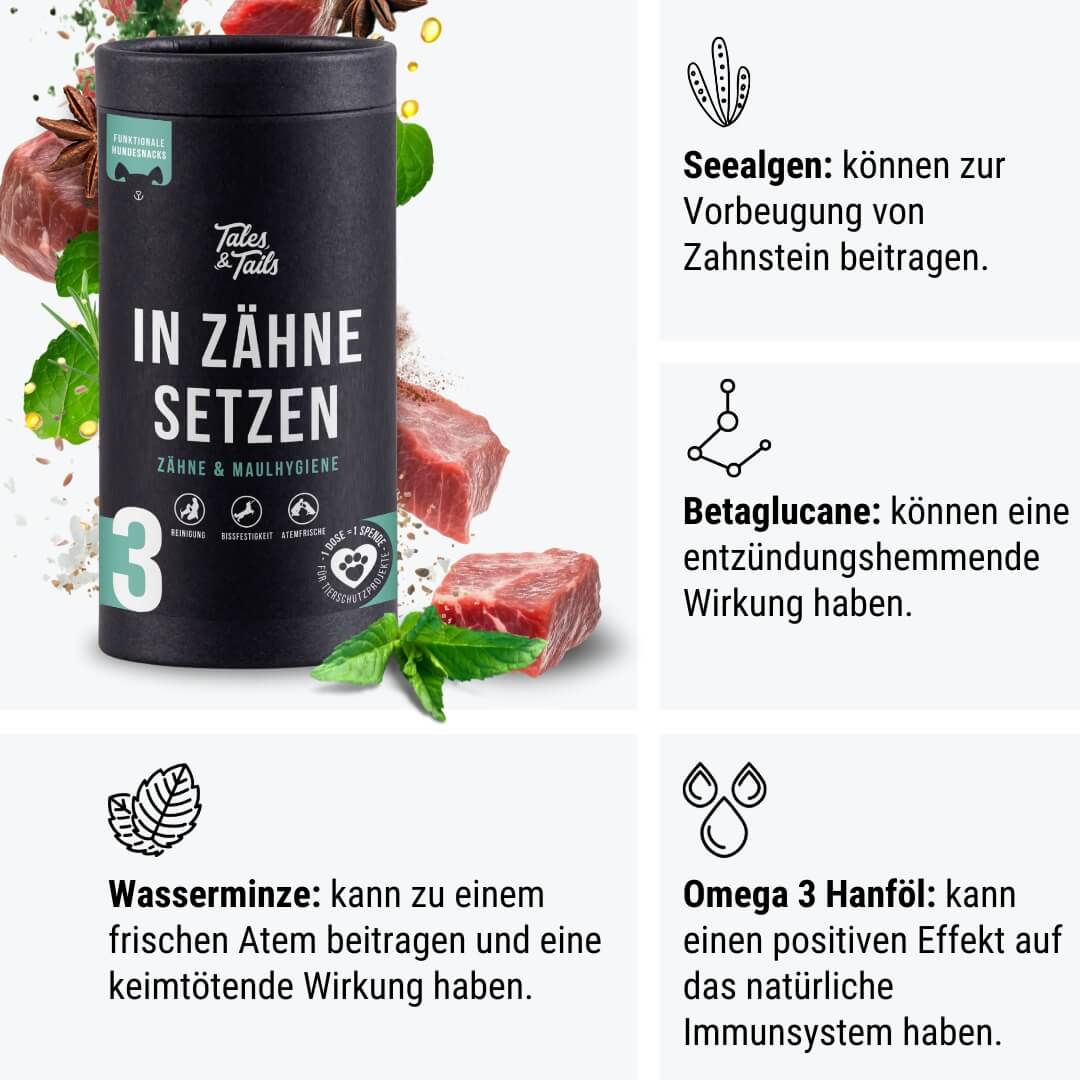 In Zähne setzen