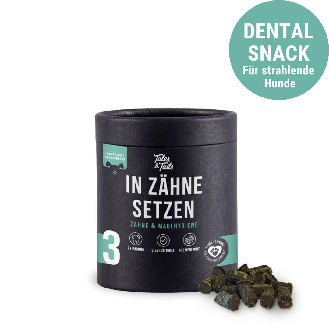 In Zähne setzen