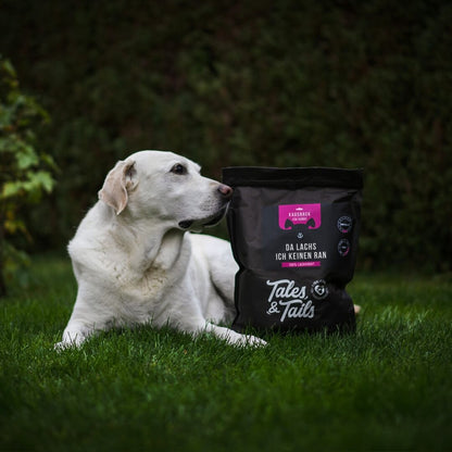 Da Lachs ich keinen ran