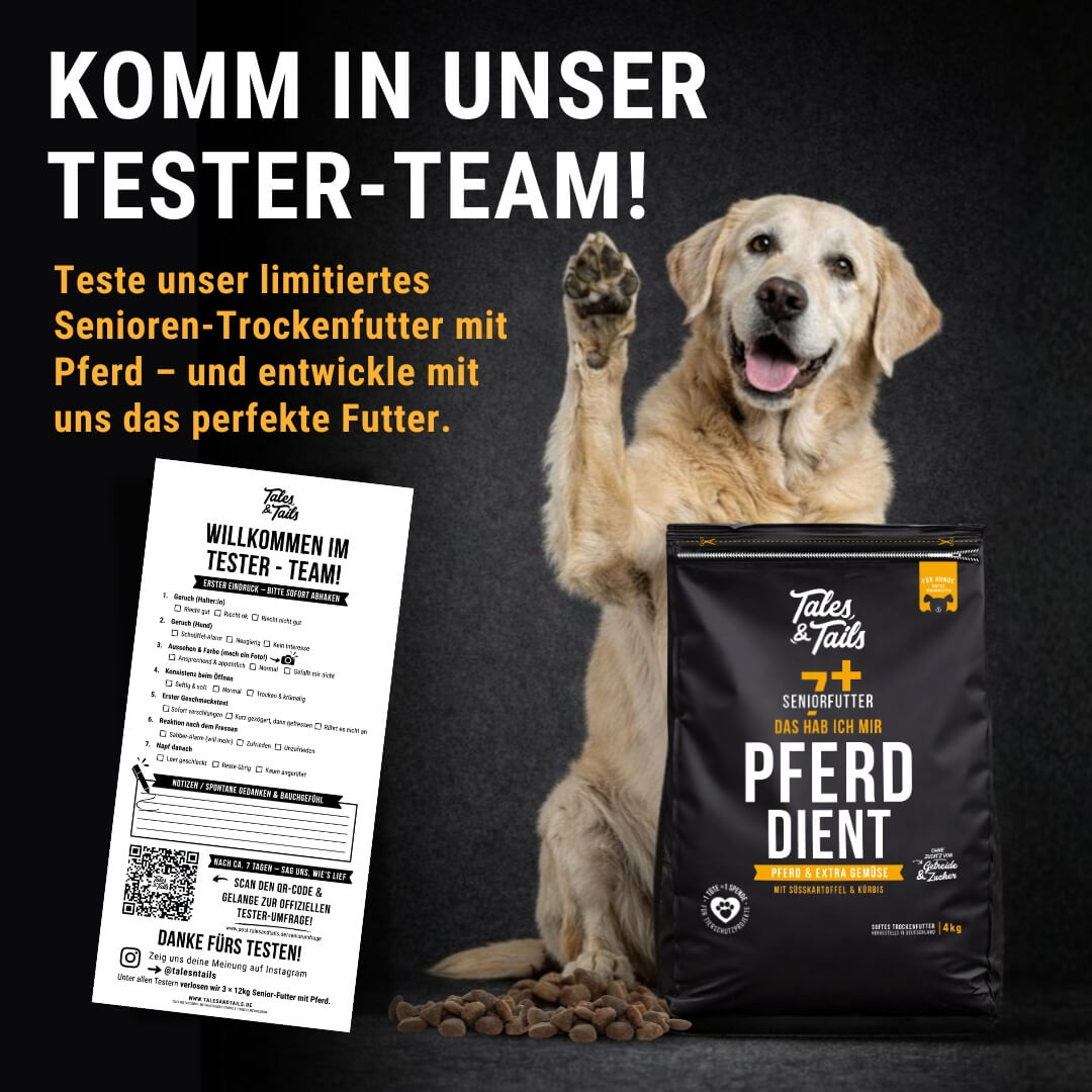 Das hab ich mir PferdDient - Senior