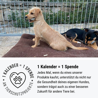 Adventskalender für Hunde