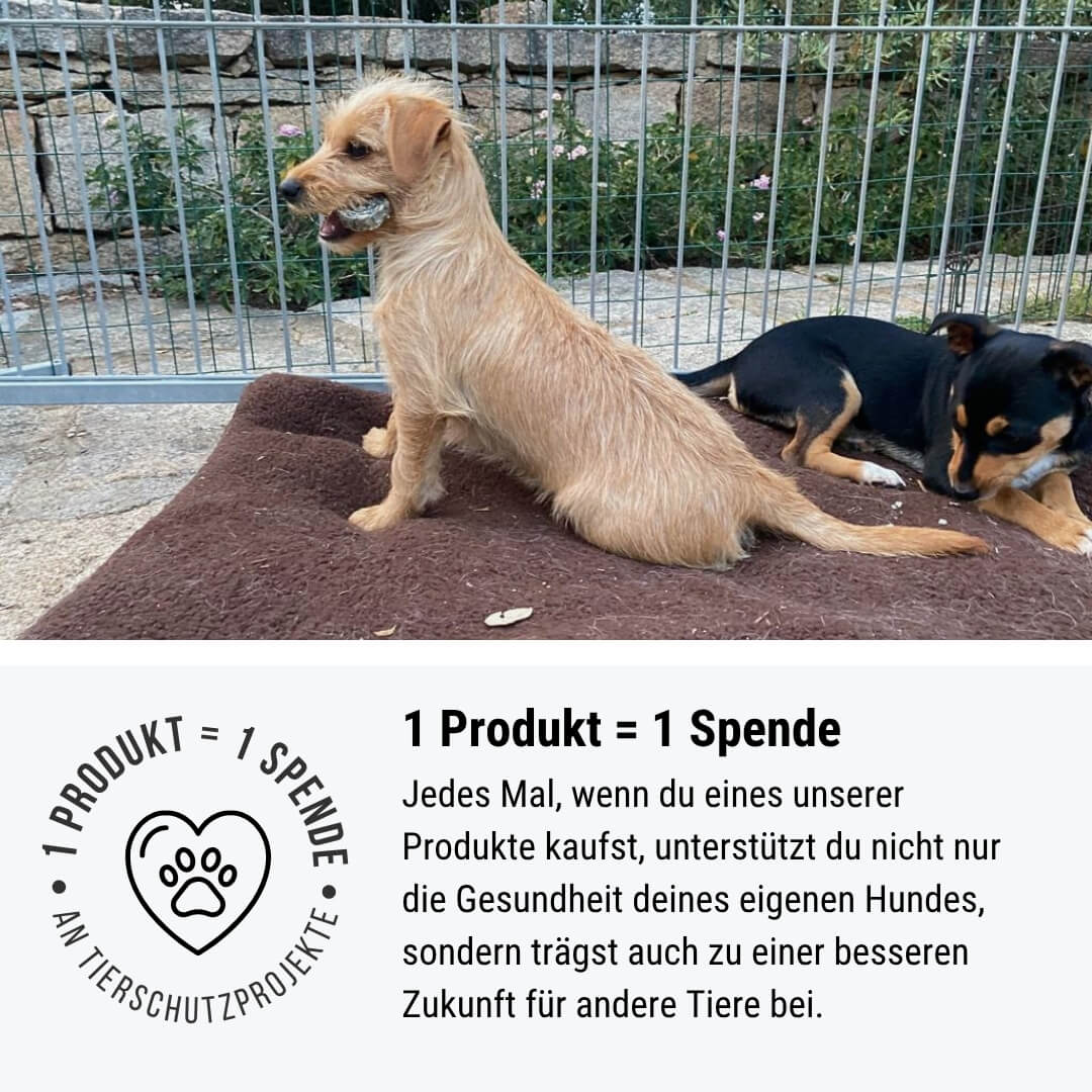 Atemfrisch-Paket