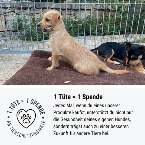 Perfekt PferdTräglich