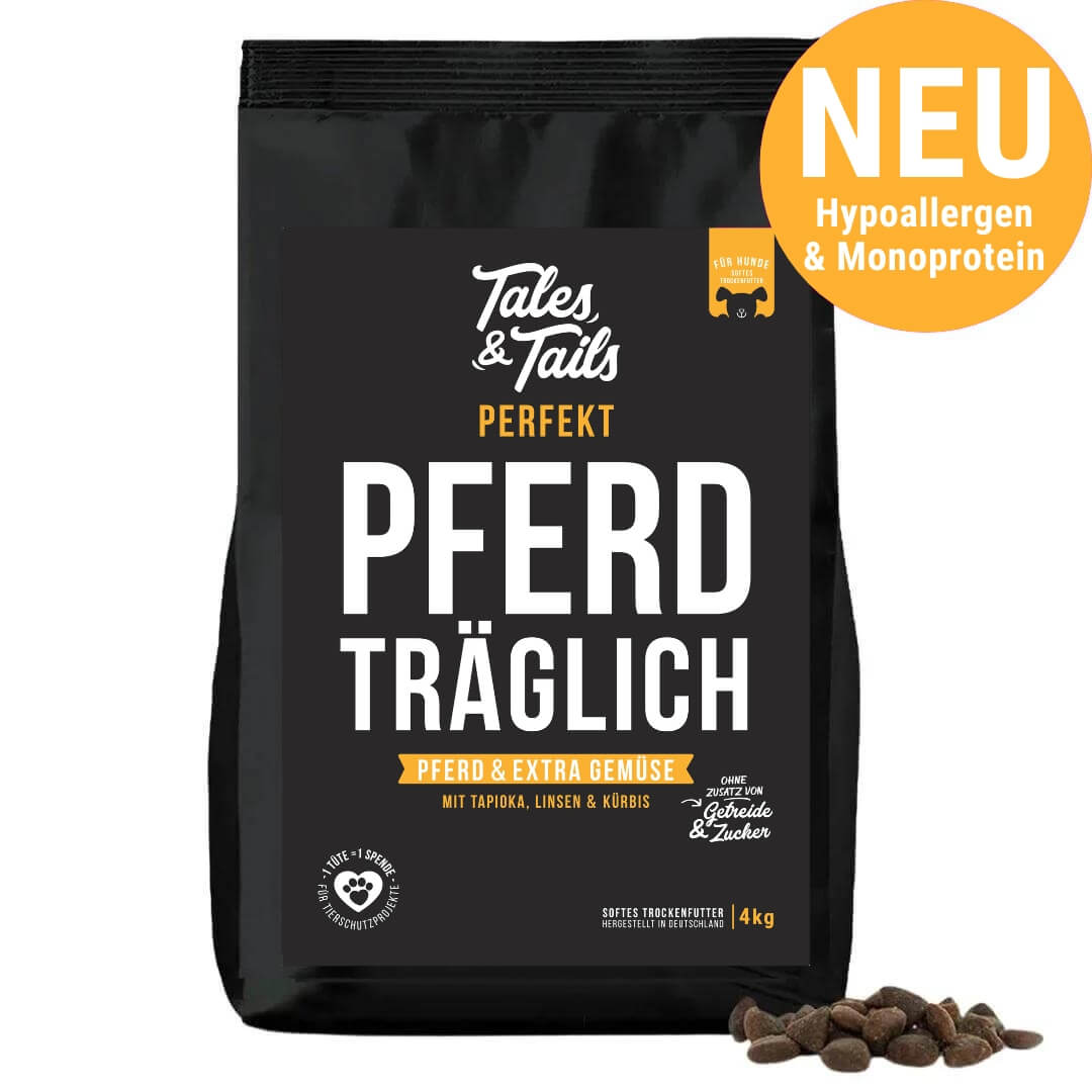 Perfekt PferdTräglich