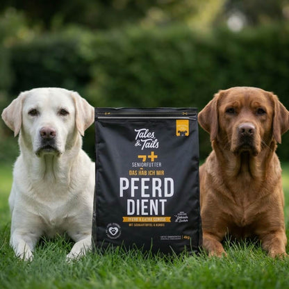 Das hab ich mir PferdDient - Senior