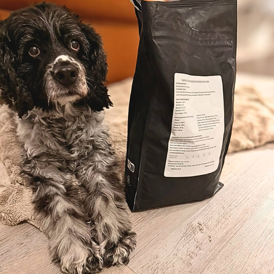 Das hab ich mir PferdDient - Senior