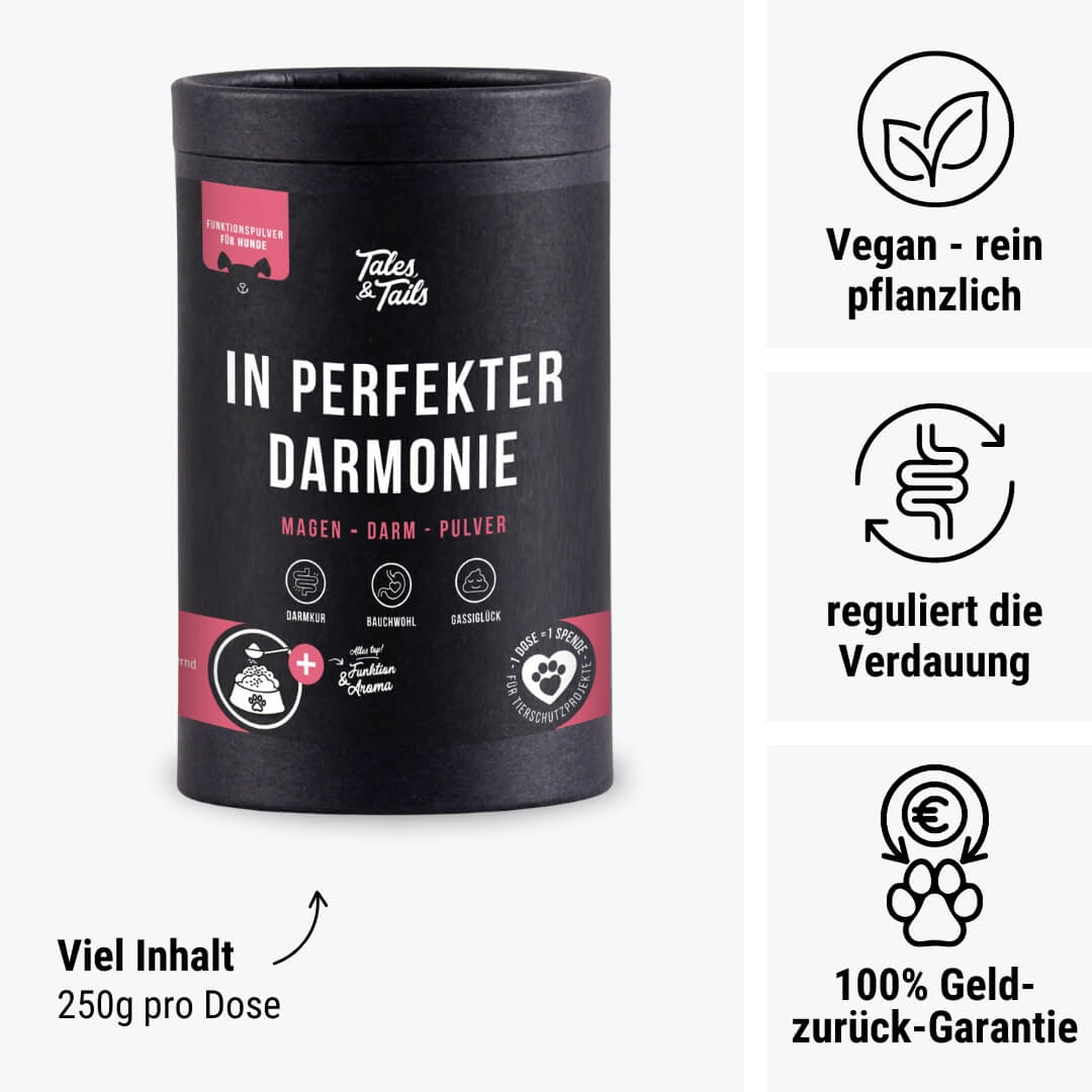 In perfekter Darmonie