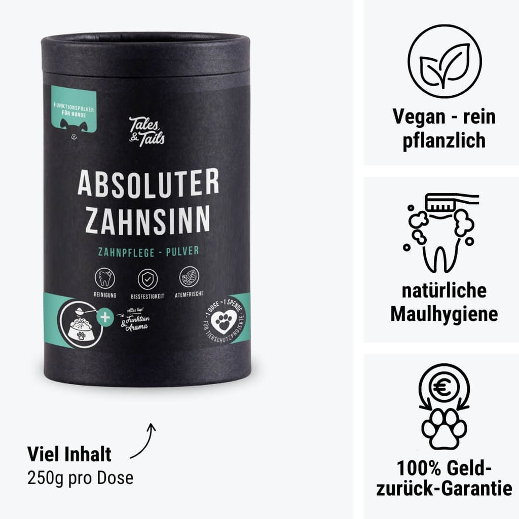 Absoluter ZahnSinn