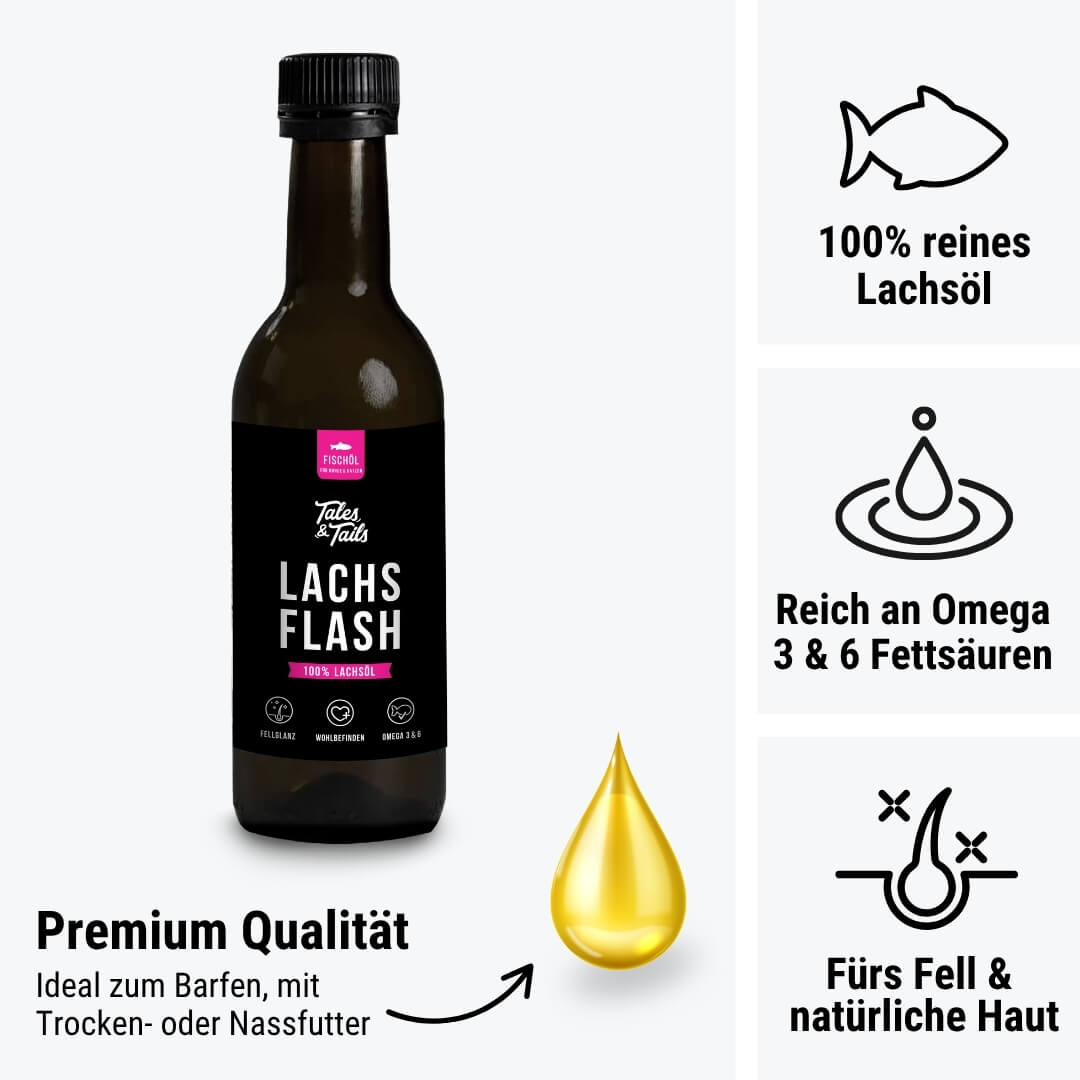 Lachsflash